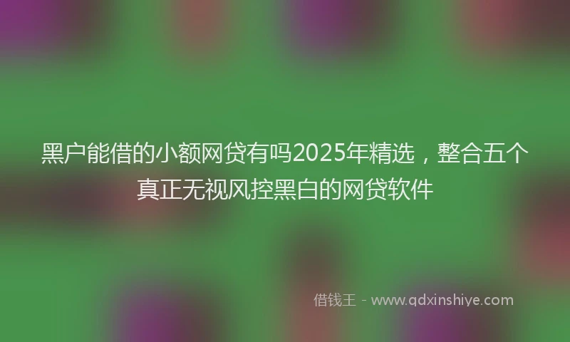 黑户能借的小额网贷有吗2025年精选，整合五个真正无视风控黑白的网贷软件