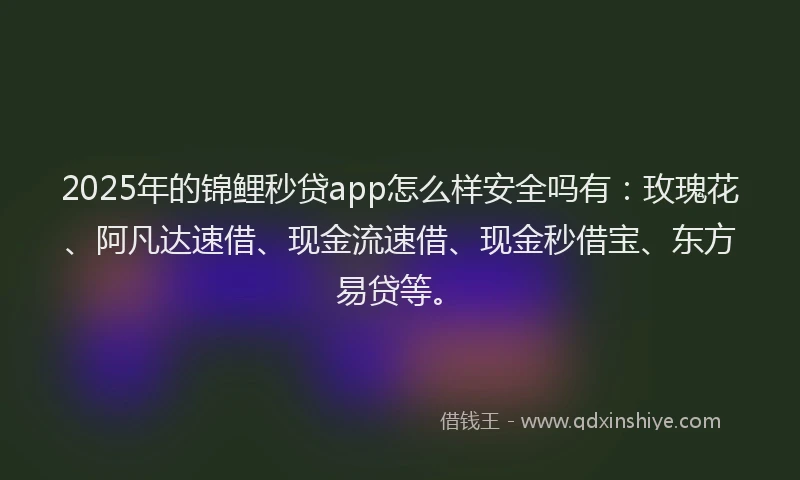 2025年的锦鲤秒贷app怎么样安全吗有：玫瑰花、阿凡达速借、现金流速借、现金秒借宝、东方易贷等。