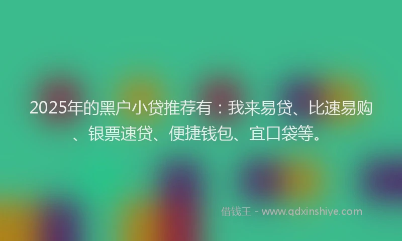2025年的黑户小贷推荐有：我来易贷、比速易购、银票速贷、便捷钱包、宜口袋等。