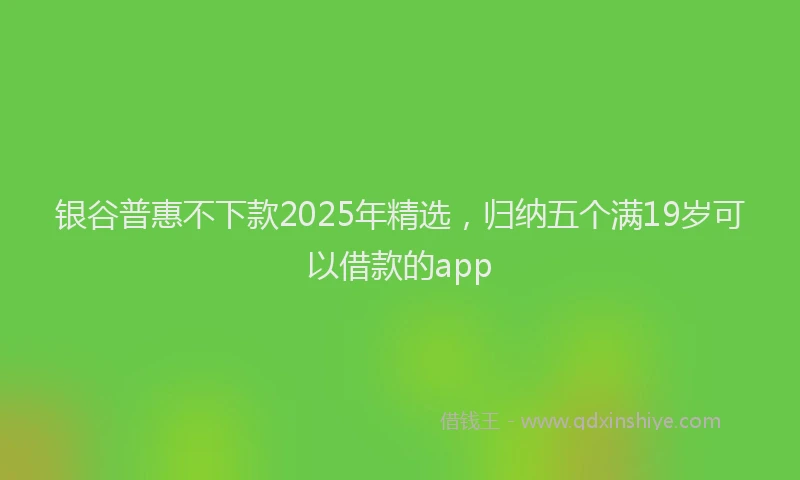银谷普惠不下款2025年精选，归纳五个满19岁可以借款的app