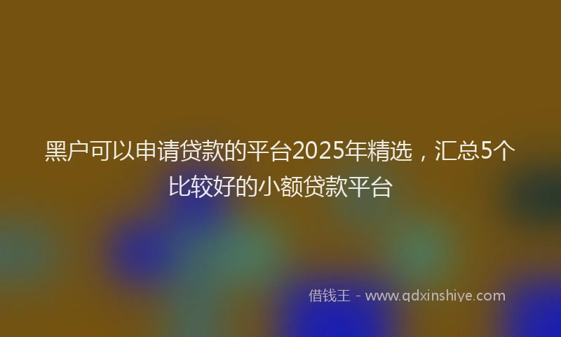 黑户可以申请贷款的平台2025年精选，汇总5个比较好的小额贷款平台