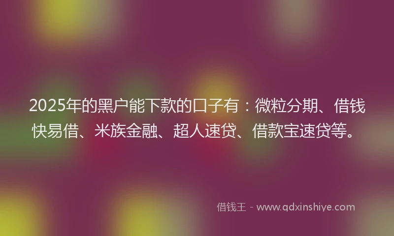 2025年的黑户能下款的口子有：微粒分期、借钱快易借、米族金融、超人速贷、借款宝速贷等。