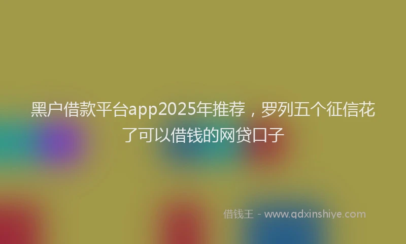黑户借款平台app2025年推荐，罗列五个征信花了可以借钱的网贷口子