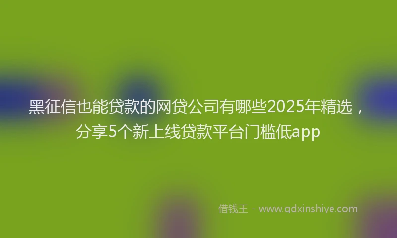 黑征信也能贷款的网贷公司有哪些2025年精选，分享5个新上线贷款平台门槛低app