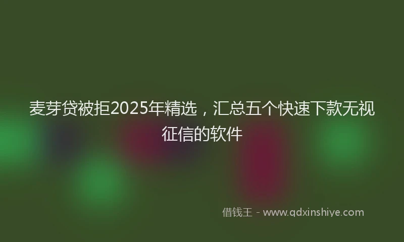 麦芽贷被拒2025年精选，汇总五个快速下款无视征信的软件
