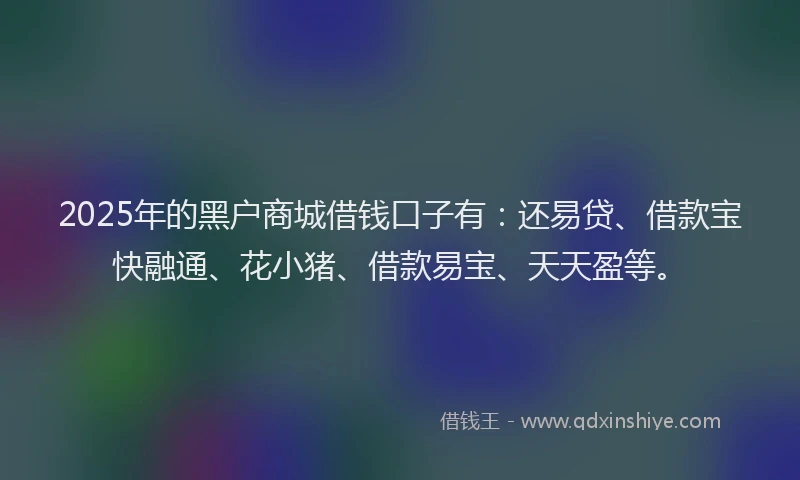 2025年的黑户商城借钱口子有：还易贷、借款宝快融通、花小猪、借款易宝、天天盈等。