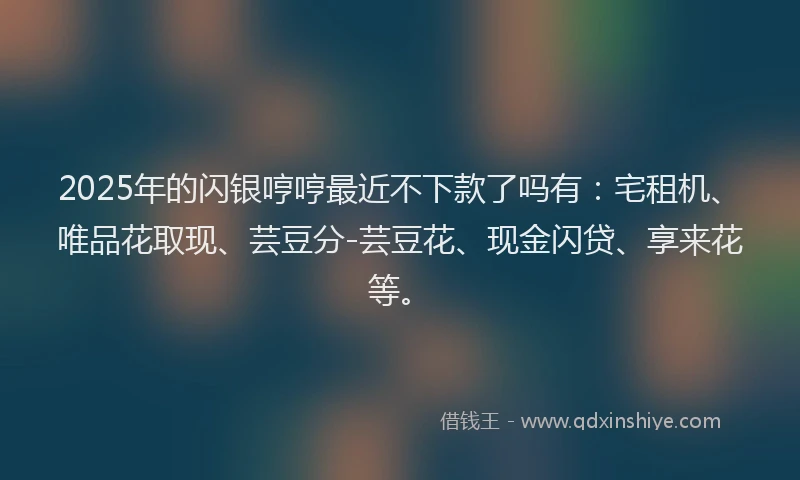 2025年的闪银哼哼最近不下款了吗有：宅租机、唯品花取现、芸豆分-芸豆花、现金闪贷、享来花等。
