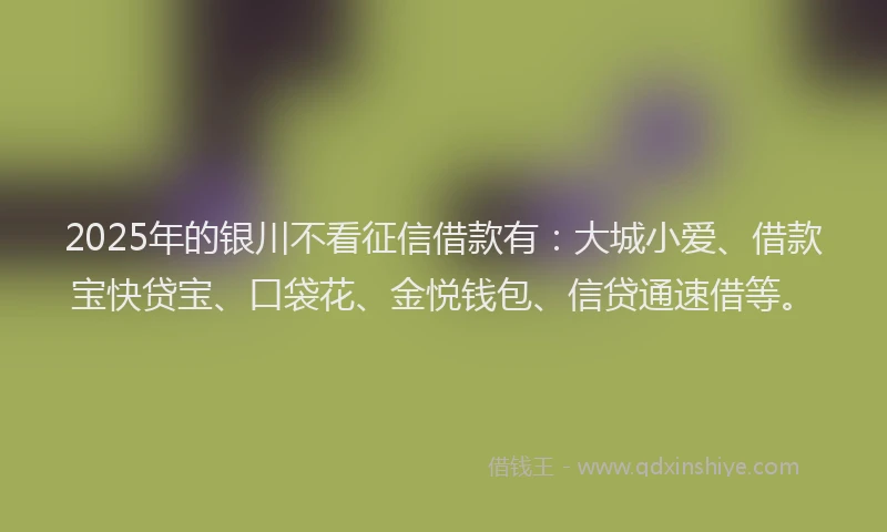 2025年的银川不看征信借款有：大城小爱、借款宝快贷宝、口袋花、金悦钱包、信贷通速借等。