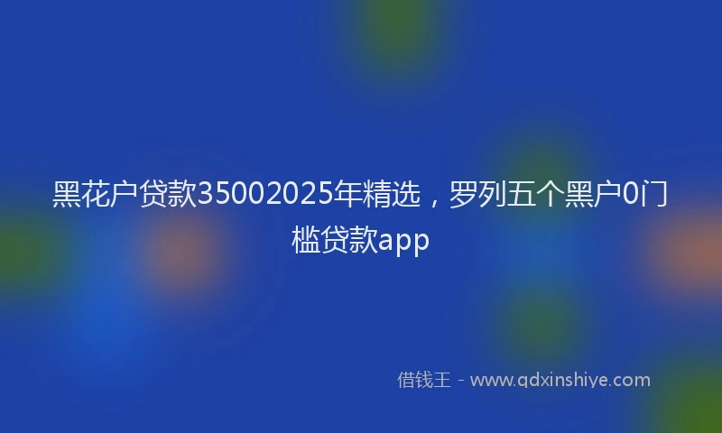黑花户贷款35002025年精选，罗列五个黑户0门槛贷款app