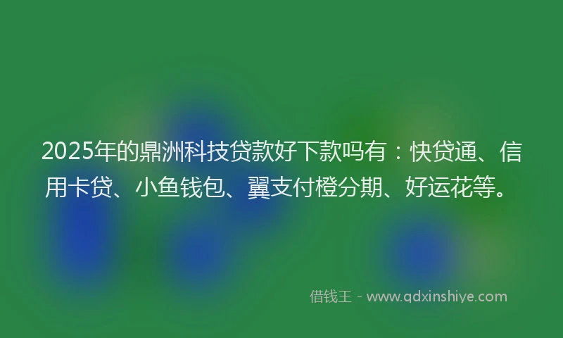 2025年的鼎洲科技贷款好下款吗有：快贷通、信用卡贷、小鱼钱包、翼支付橙分期、好运花等。
