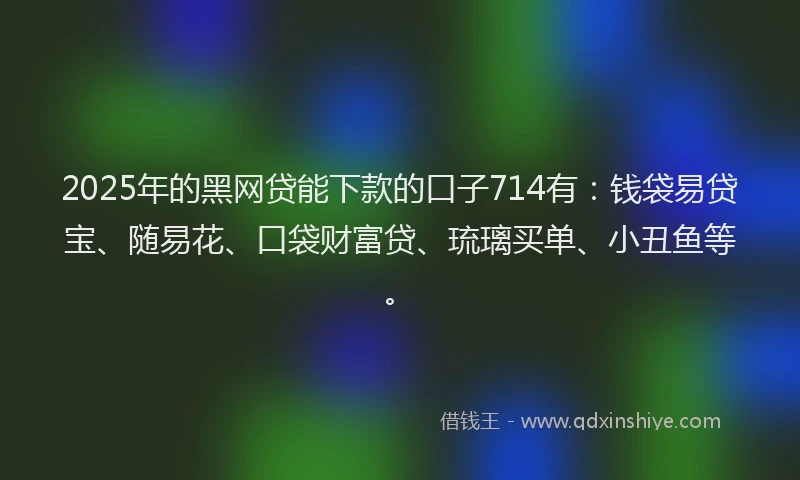 2025年的黑网贷能下款的口子714有：钱袋易贷宝、随易花、口袋财富贷、琉璃买单、小丑鱼等。