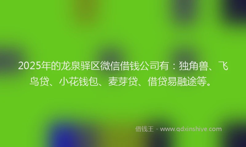 2025年的龙泉驿区微信借钱公司有：独角兽、飞鸟贷、小花钱包、麦芽贷、借贷易融途等。
