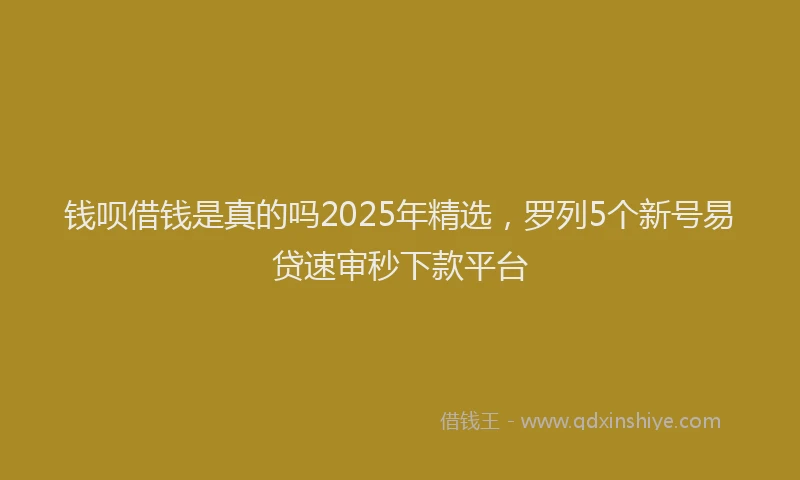 钱呗借钱是真的吗2025年精选，罗列5个新号易贷速审秒下款平台
