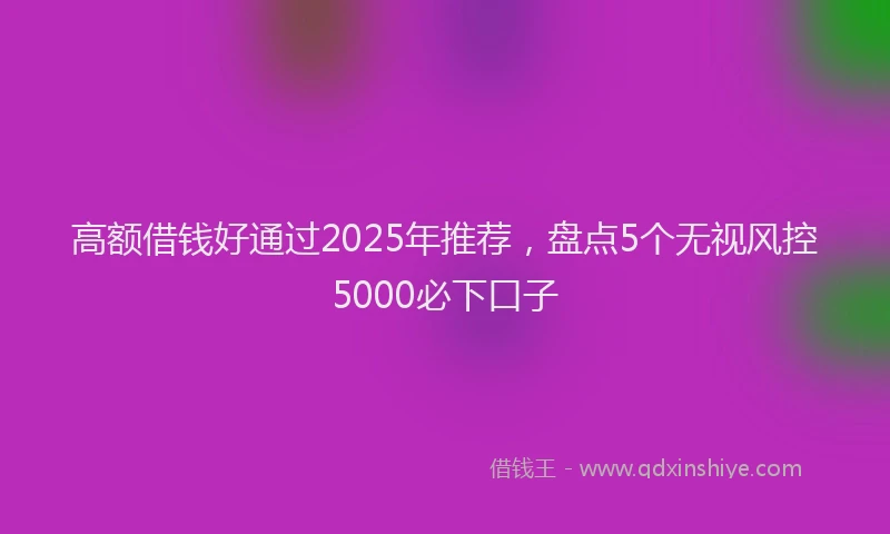 高额借钱好通过2025年推荐，盘点5个无视风控5000必下口子