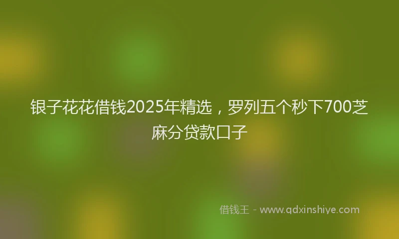 银子花花借钱2025年精选，罗列五个秒下700芝麻分贷款口子