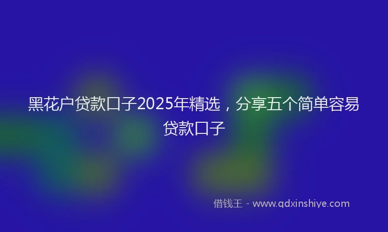 黑花户贷款口子2025年精选，分享五个简单容易贷款口子