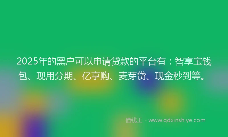 2025年的黑户可以申请贷款的平台有：智享宝钱包、现用分期、亿享购、麦芽贷、现金秒到等。