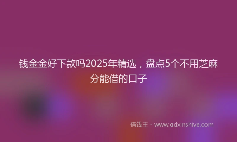 钱金金好下款吗2025年精选，盘点5个不用芝麻分能借的口子