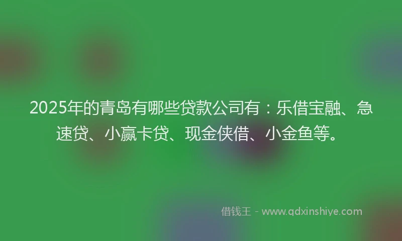 2025年的青岛有哪些贷款公司有：乐借宝融、急速贷、小赢卡贷、现金侠借、小金鱼等。