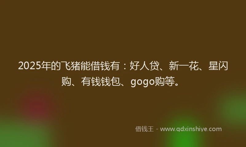 2025年的飞猪能借钱有：好人贷、新一花、星闪购、有钱钱包、gogo购等。