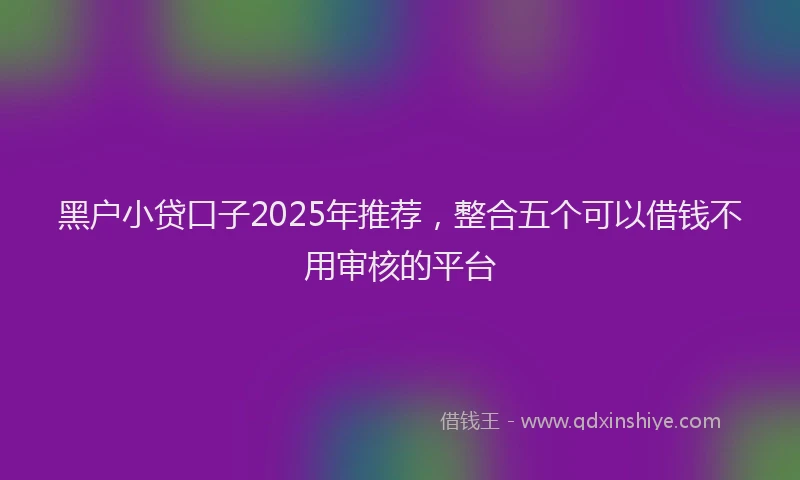 黑户小贷口子2025年推荐，整合五个可以借钱不用审核的平台