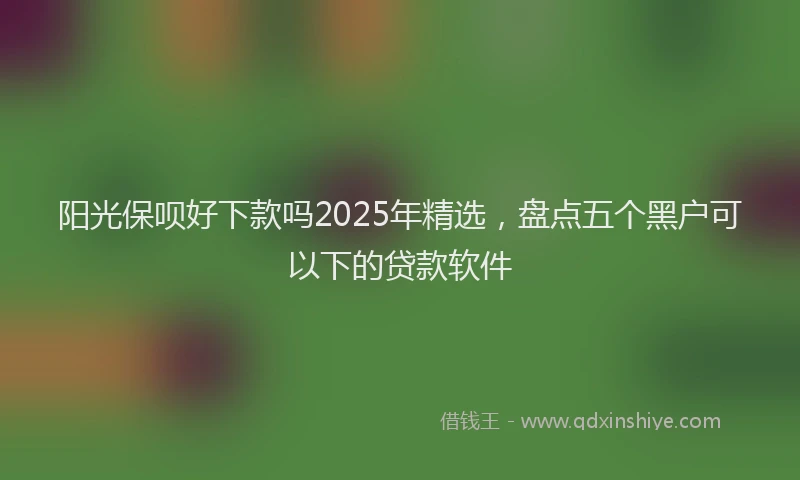 阳光保呗好下款吗2025年精选，盘点五个黑户可以下的贷款软件