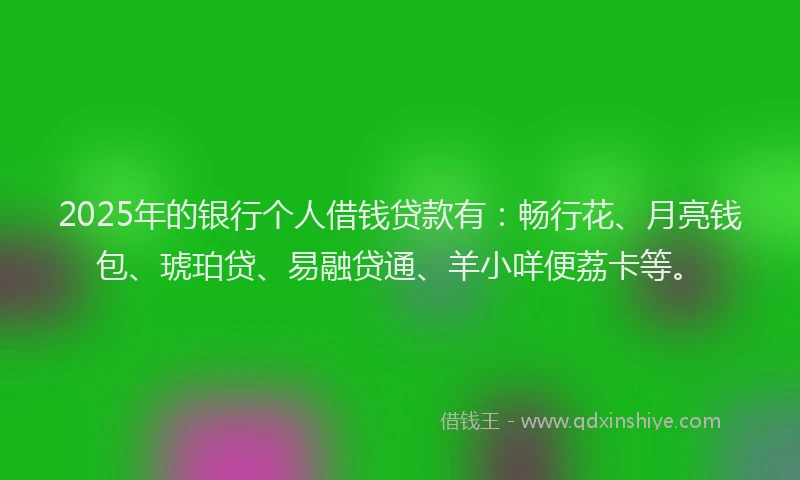 2025年的银行个人借钱贷款有：畅行花、月亮钱包、琥珀贷、易融贷通、羊小咩便荔卡等。