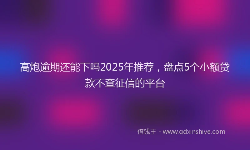 高炮逾期还能下吗2025年推荐，盘点5个小额贷款不查征信的平台
