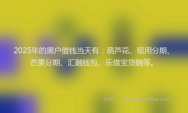 2025年的黑户借钱当天有：葫芦花、现用分期、芒果分期、汇融钱包、乐借宝贷融等。