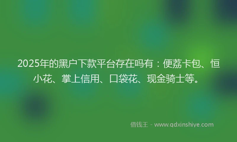 2025年的黑户下款平台存在吗有：便荔卡包、恒小花、掌上信用、口袋花、现金骑士等。