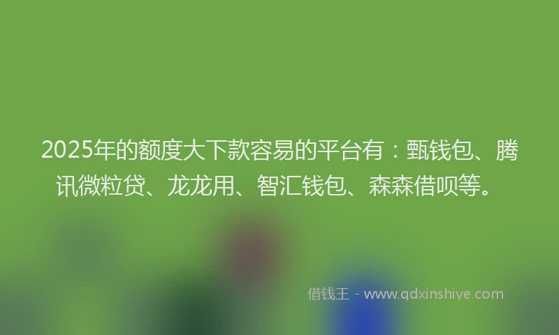 2025年的额度大下款容易的平台有：甄钱包、腾讯微粒贷、龙龙用、智汇钱包、森森借呗等。