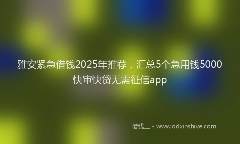雅安紧急借钱2025年推荐，汇总5个急用钱5000快审快贷无需征信app