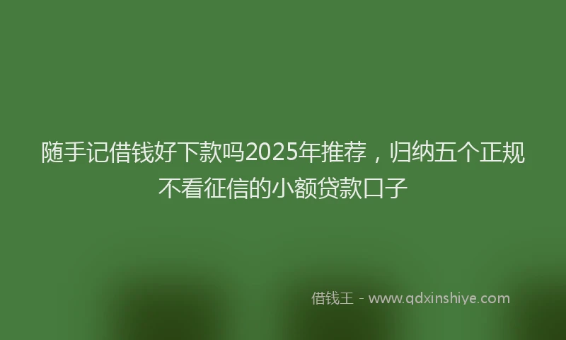 随手记借钱好下款吗2025年推荐，归纳五个正规不看征信的小额贷款口子