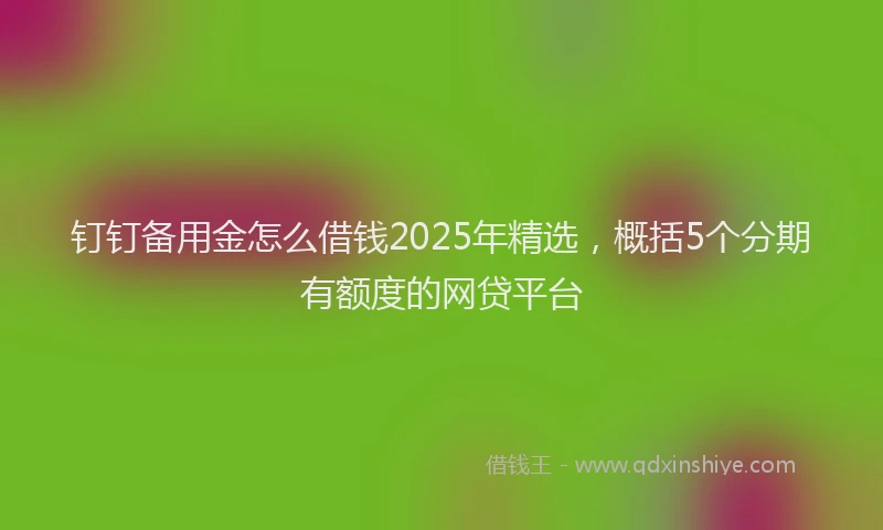 钉钉备用金怎么借钱2025年精选，概括5个分期有额度的网贷平台