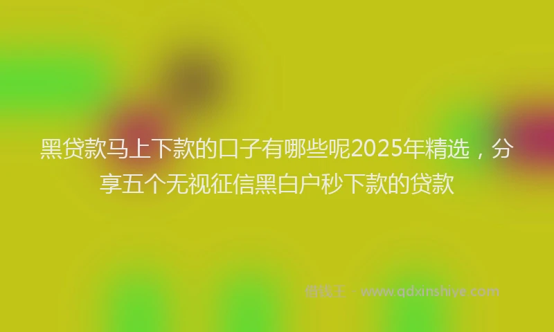 黑贷款马上下款的口子有哪些呢2025年精选，分享五个无视征信黑白户秒下款的贷款