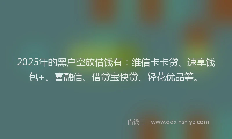 2025年的黑户空放借钱有：维信卡卡贷、速享钱包+、喜融信、借贷宝快贷、轻花优品等。