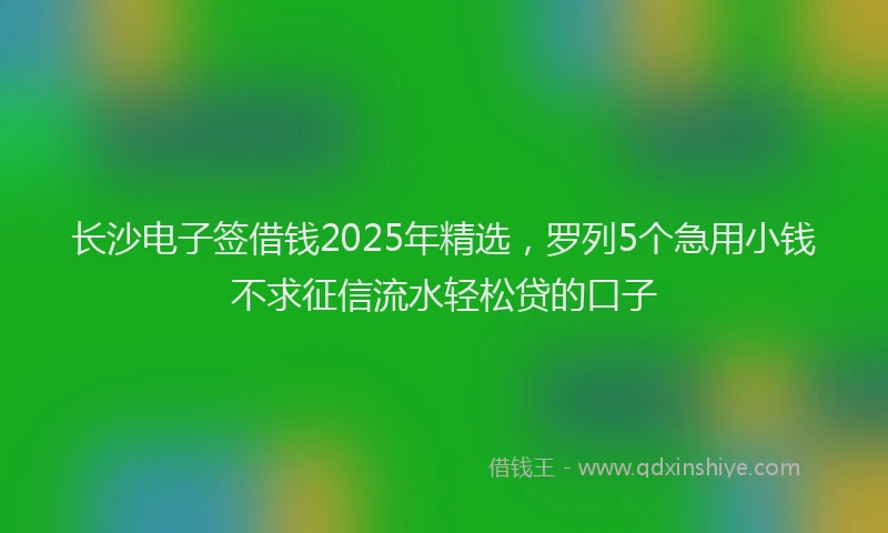 长沙电子签借钱2025年精选，罗列5个急用小钱不求征信流水轻松贷的口子