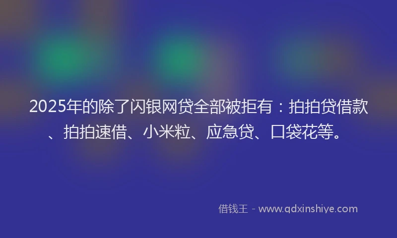 2025年的除了闪银网贷全部被拒有：拍拍贷借款、拍拍速借、小米粒、应急贷、口袋花等。
