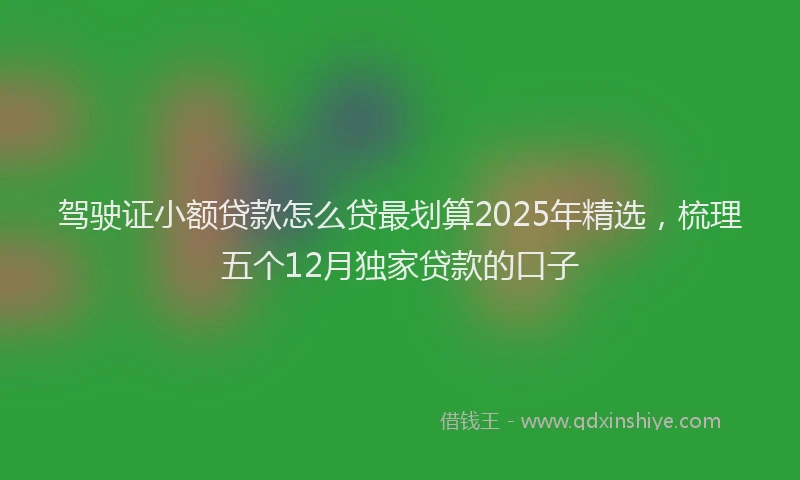 驾驶证小额贷款怎么贷最划算2025年精选，梳理五个12月独家贷款的口子