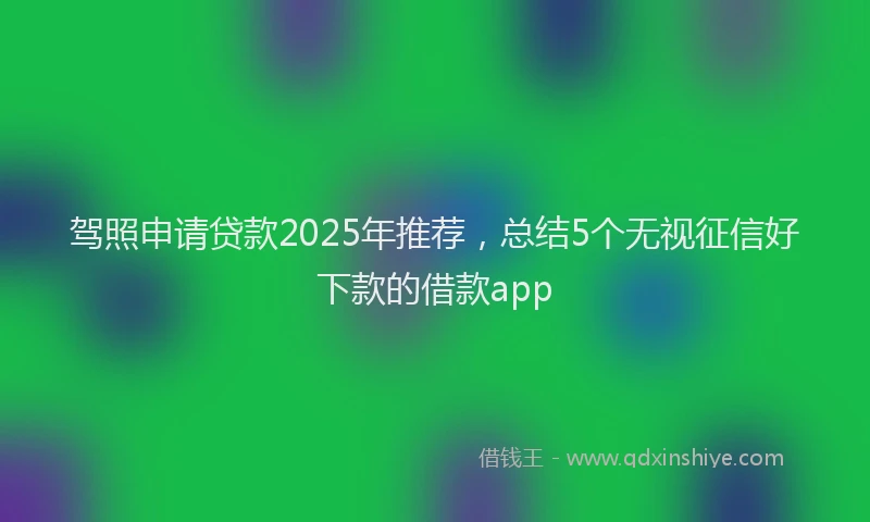 驾照申请贷款2025年推荐，总结5个无视征信好下款的借款app