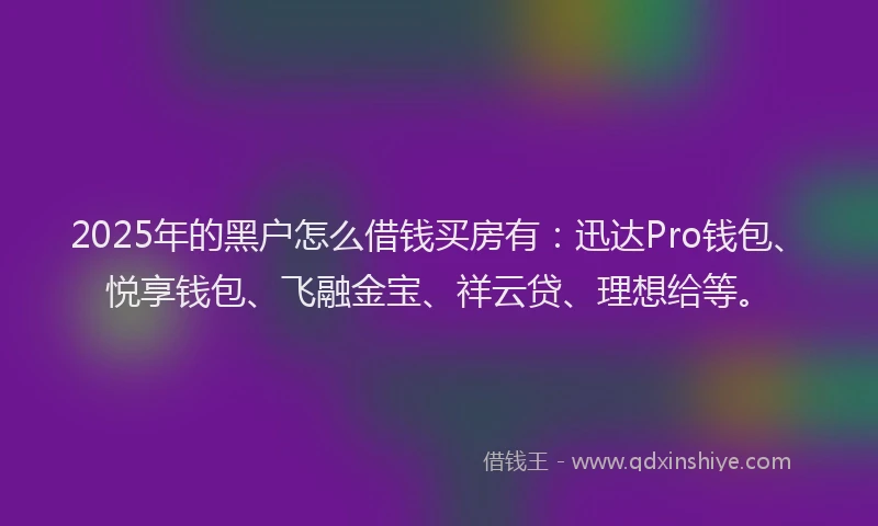 2025年的黑户怎么借钱买房有：迅达Pro钱包、悦享钱包、飞融金宝、祥云贷、理想给等。