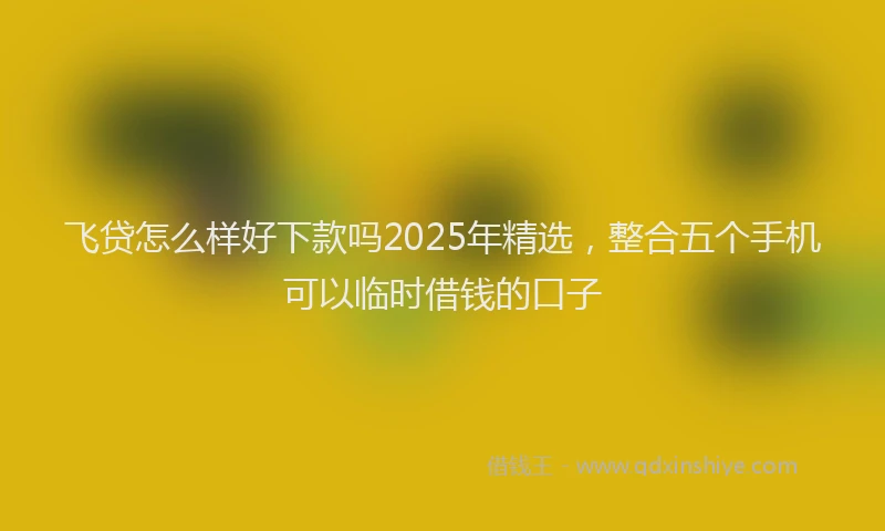 飞贷怎么样好下款吗2025年精选，整合五个手机可以临时借钱的口子