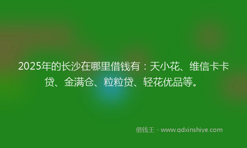 2025年的长沙在哪里借钱有：天小花、维信卡卡贷、金满仓、粒粒贷、轻花优品等。