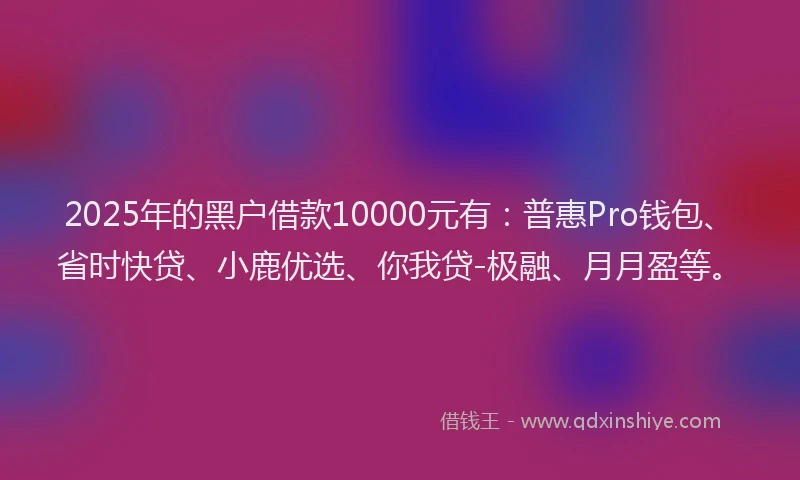 2025年的黑户借款10000元有：普惠Pro钱包、省时快贷、小鹿优选、你我贷-极融、月月盈等。