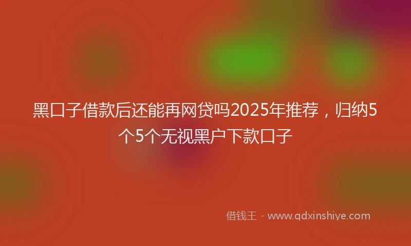 黑口子借款后还能再网贷吗2025年推荐，归纳5个5个无视黑户下款口子