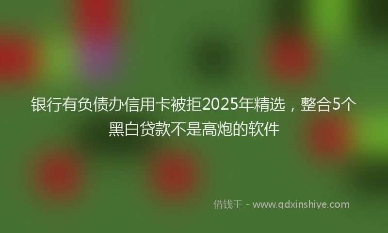 银行有负债办信用卡被拒2025年精选，整合5个黑白贷款不是高炮的软件
