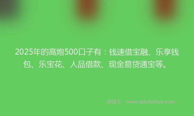 2025年的高炮500口子有：钱速借宝融、乐享钱包、乐宝花、人品借款、现金易贷通宝等。