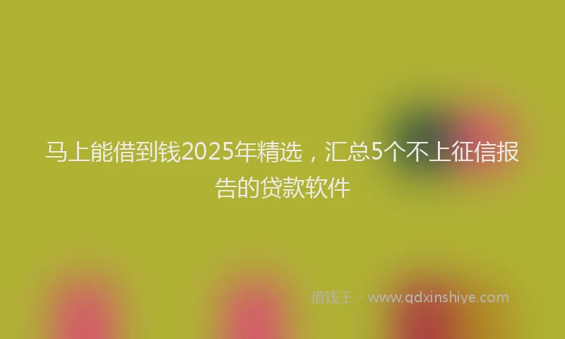 马上能借到钱2025年精选，汇总5个不上征信报告的贷款软件