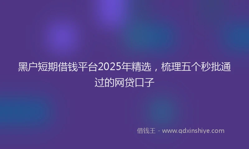 黑户短期借钱平台2025年精选，梳理五个秒批通过的网贷口子