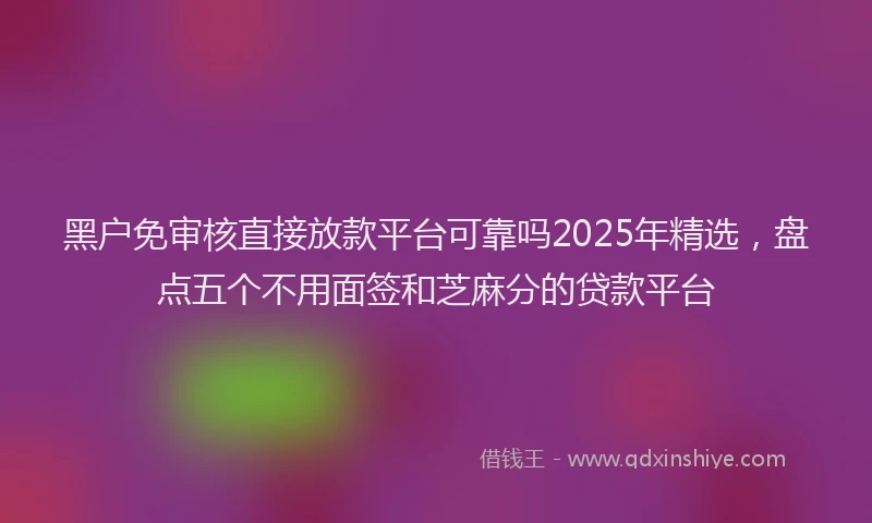 黑户免审核直接放款平台可靠吗2025年精选，盘点五个不用面签和芝麻分的贷款平台